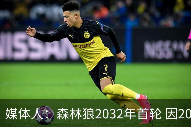 媒体人：森林狼2032年首轮 因2024-25赛季超过第二土豪线而被冻结