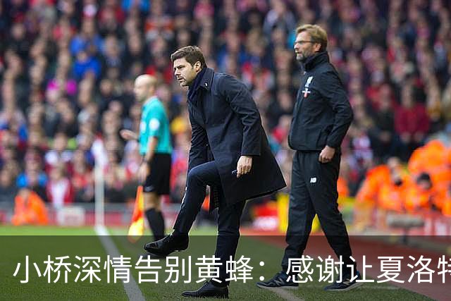 小桥深情告别黄蜂：感谢让夏洛特成为我的家 这里永远无可替代